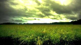 Broken Fabiola - Slivers Bind