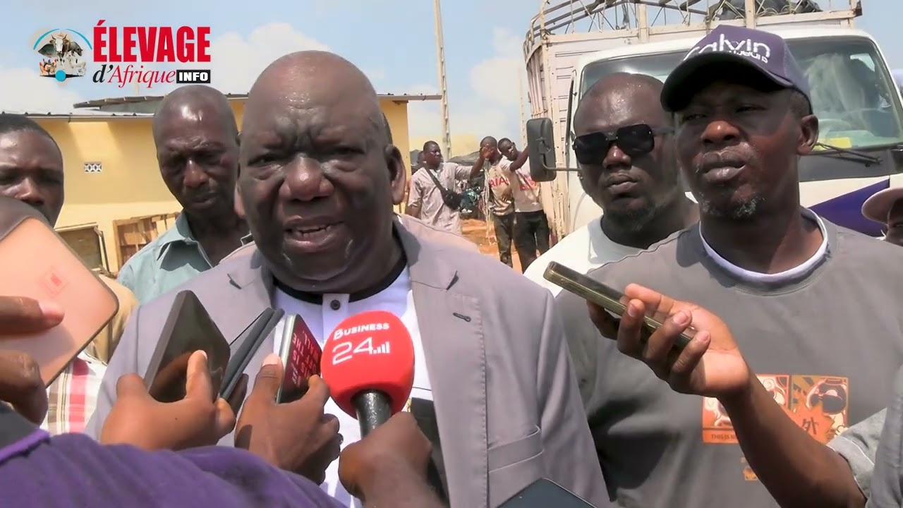 Découvrez le nouveau marché à bétail  du district d'Abidjan, situé dans la commune d'Anyama.