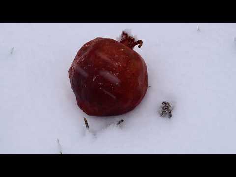 🌸 Komitas – Garun a (“Spring”) | Nareh Arghamanyan 🎹