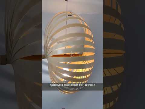 Modern ceiling fan with light for global buyers