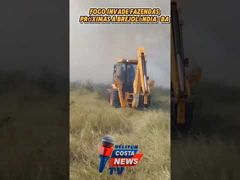 Urgente: Fogo invade fazendas próximas a Brejolândia-Ba