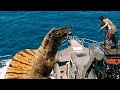 Angry Sea Monster Attacked The Hunter Ship Battle Scene Jurassic World Rebirth Movie HD
