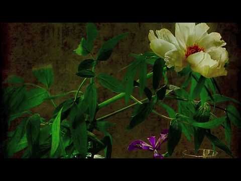 Hyper-realist Italian painter Giuseppe Muscio "Dove Eravamo Rimasti"