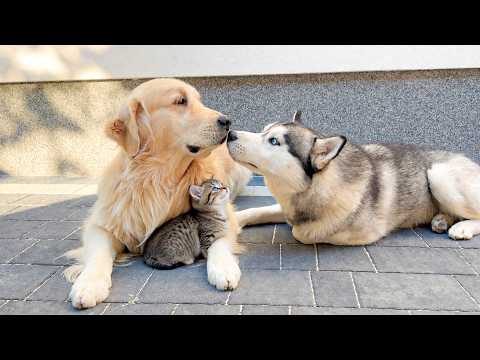 YouTube 썸네일
