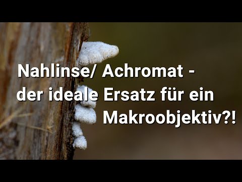 Ist eine Nahlinse/ ein Achromat ein idealer Ersatz für ein Makroobjektiv?