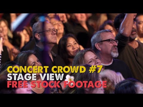 Concert Crowd #7 - Dancing - Stage View - Free Stock Footage