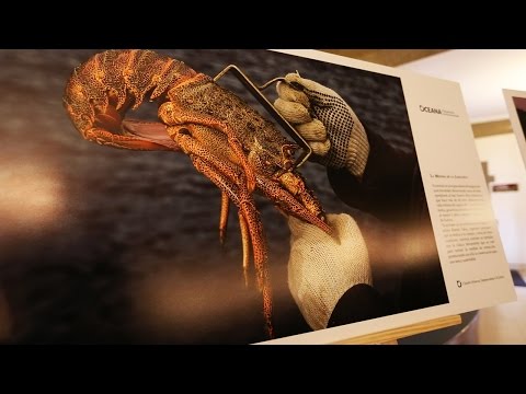 USM - Presentación documentales Nuestro Océano 2015