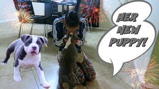 Surprising Girlfriend With A Puppy