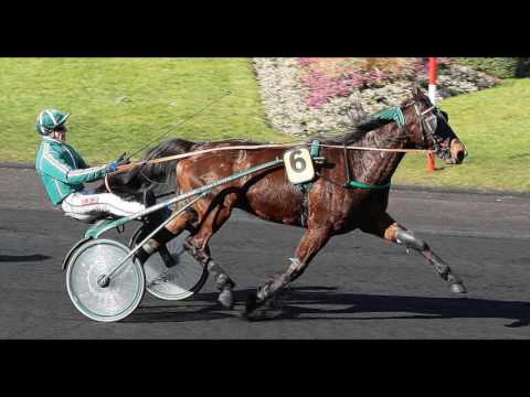Pronostic quinté 08/03/2017 - Vincennes - Grand National du Trot Paris-Turf