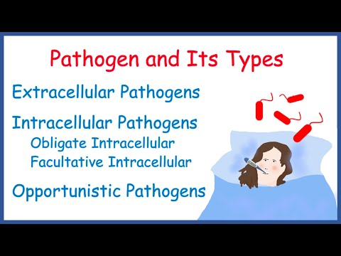 Pathogen | Types of Pathogen | Extracellular | Intracellular | Opportunistic | Examples |