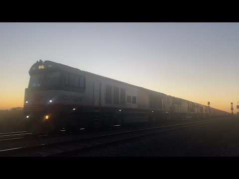 Up SCT 1PM9 with CSR022 SCT013 CSR020 at sunset at Gheringhap headed to SCT Laverton 4/12/2024