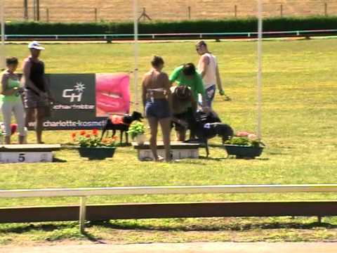 Federation Sprint & Trophy - finals 8. 7. 2012 race 3