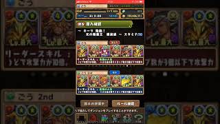 パズドラ スカーレット降臨 シヴァドラゴン 周回編成 تحميل اغاني مجانا