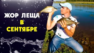 Все о рыбалке в сентябре на леща