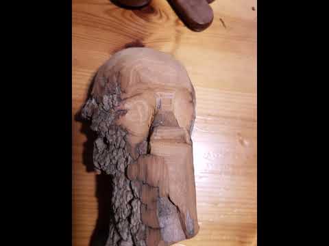 Face carving in tree bark