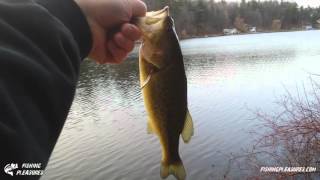 7 Bass on the Rebel Minnow