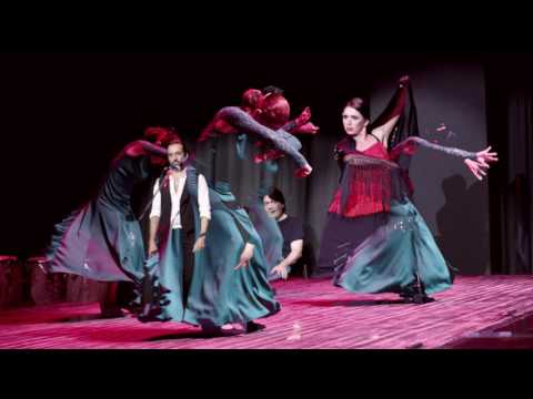 Un Abrazo en Silencio by Philippa Stylianoude (Flamenco Performance) Cyprus