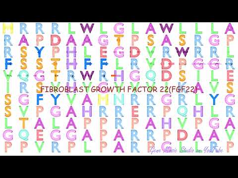 Gene Music using Protein Sequence of FGF22 "FIBROBLAST GROWTH FACTOR 22"
