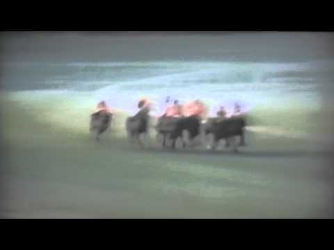 Nagroda Syreny - 1.08.1992 - Brochwicz  (Jaguar - Bogna)