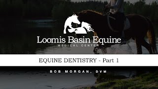 Thumbnail for Equine Dentistry - Part 1 video