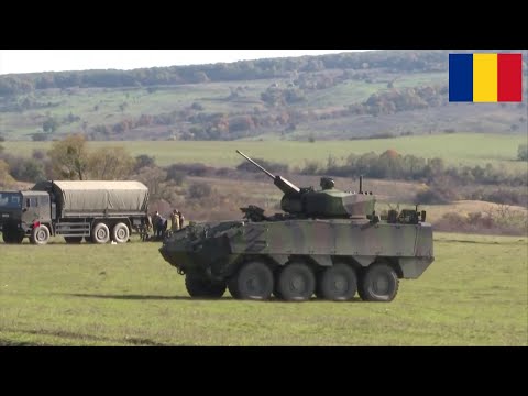 Romania wants to buy another 150 Piranha V