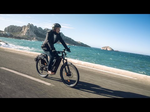 Friday 27 FS Speed Dual