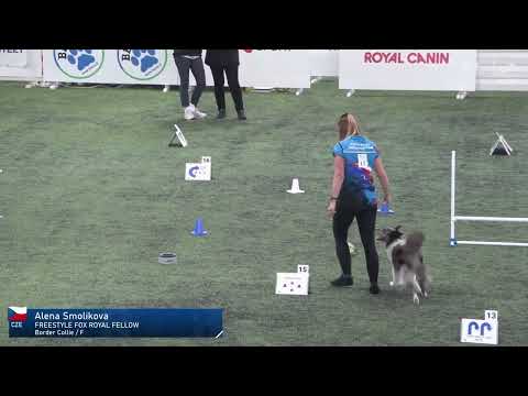 Foxy at World Championship in Rally Obedience 2024