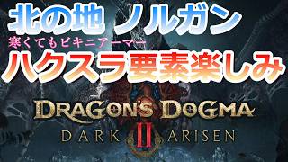 PC 「#01」 DLC 北の大地「ノルガン」寒くてもビキニアーマー！『ドラゴンズドグマ2：ダークアリズン』
