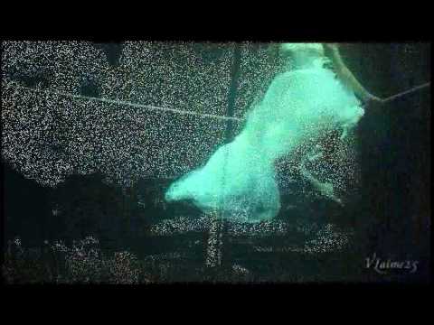 pimp schwab tm rmxtv221