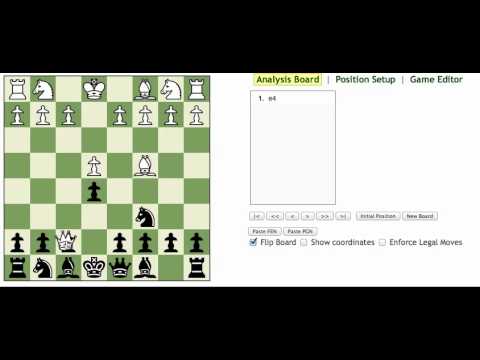 How to stop the 4 move checkmate - Beginner Chess Tutorial.mov