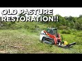 Converting Old Pasture To Native Grasses For Cattle And Wildlife