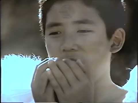 Vu vơ tình đầu - Lay Minh