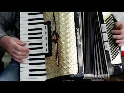 Vintage German Made Accordion Weltmeister 96 bass,8 sw.+Original Hard Case&Brand New Shoulder Straps