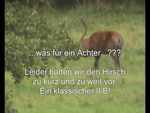 Rekordstrecke: ein kapitaler- und ein abnormer Hirsch!
