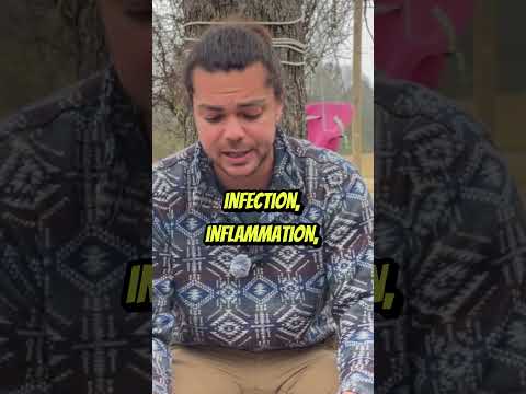 Comfrey's Healing Power: Medicinal Uses Explored