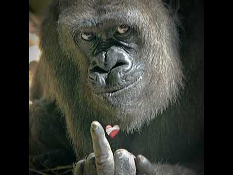 Bombastic #Ending😁