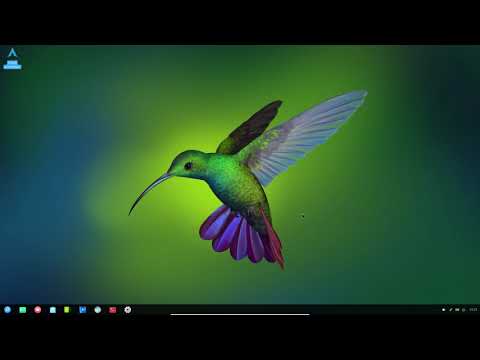 A look at Antech' Archdeepin