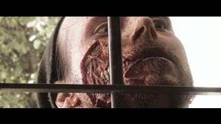 Birch Pollen of the DÖD - English trailer