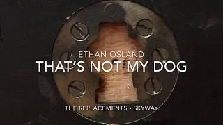 Ethan Osland - Skyway (The Replacements)