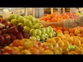 Fresh Market Commercial By Cinema Protasis