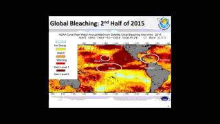 Preparing for Coral Bleaching: Outlook and Lessons in Monitoring & Response