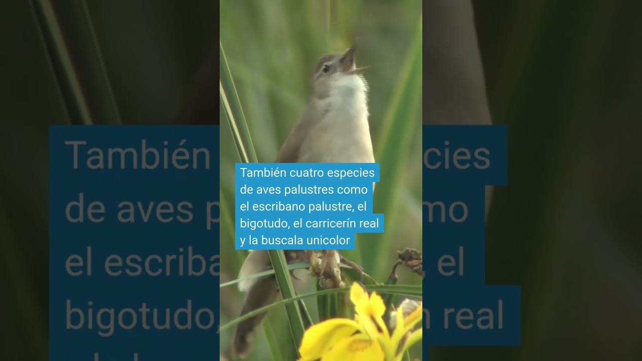 Manos a la obra: empezamos con los censos