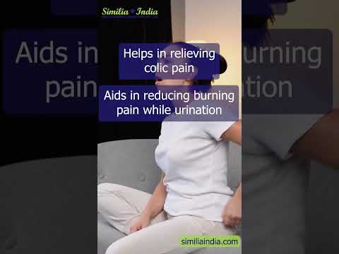 Similia rid stone syrup, pack size: 30 ml, packaging size: 3...