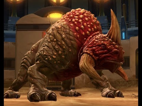 Guide to Thrasher (NiM SnV)