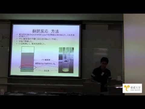 愛媛大学平成24年度サイエンス・リーダーズ・キャンプ（2班発表）