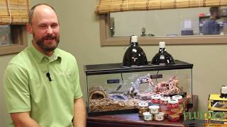 Bearded Dragon Diet and Nutrition : Fluker Farms