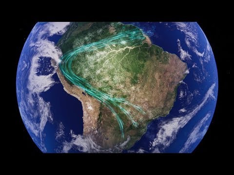Rios Voadores da Amazônia - sem floresta não tem água