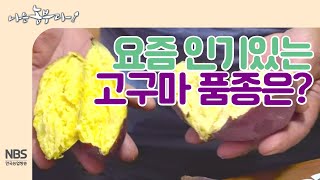 [나는농부다 217회] 고구마 품종만큼 다양한 고구마 트렌드, 팍팍한 고구마or촉촉한 고구마 여러분의 취향은…
