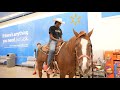 I Took A Horse To Walmart