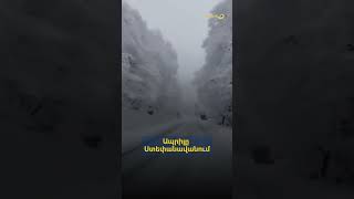 Ապրիլը Ստեփանավանում. Գագիկ Սուրենյան